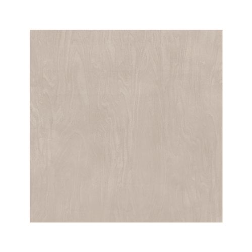Porcelanato Todo Masa 60x60 Madeira Madera Pulido Rectificado