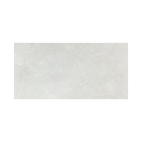 Mayólica Cemento Brillo Loft Gris Plata 30x60 Appolo