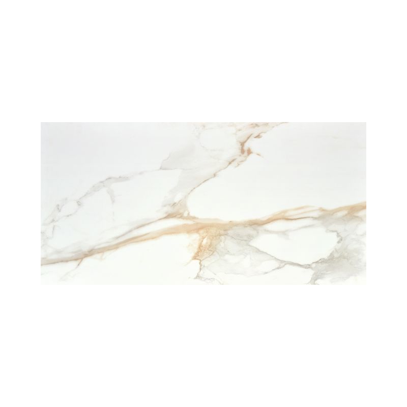 17885---PRODUCTO_2
