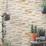 revestimiento-rustico-brillante-andes-beige-34x50-big-evolution-3202-1