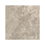 porcelanato-esmaltado-marmolizado-pulido-excelence-gris-60x60-appolo-2156_2