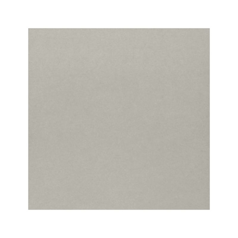 gres-porcelanico-esmaltado-cemento-semimate-minimal-gris-60x60-appolo-2031-2