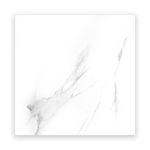porcelanato-esmaltado-marmolizado-pulido-ambassador-blanco-gris-60x60-appolo-2033_2