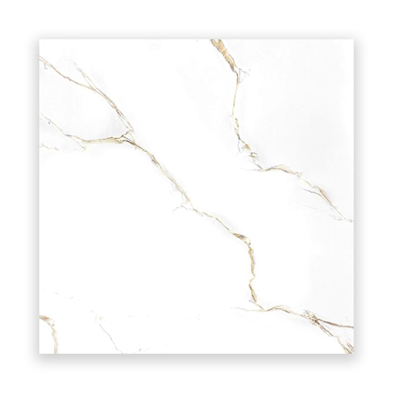 porcelanato-esmaltado-unicolor-pulido-alaska-blanco-60x60-appolo-16292-2