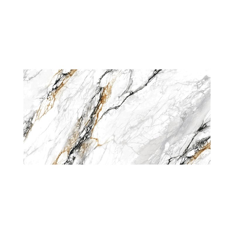 17477_Gres-Porcelanico-Esmaltado-Calacata-Pulido-Musine-BlancoGris-60X120-Appolo--5-