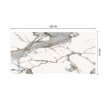 17483 Gres Porcelanico Esmaltado 60x120cm Dorian Mix Calacata Pulido Rectificado